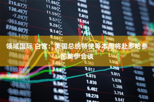 领域国际 白宫：美国总统特使等本周将赴多哈参加美伊会谈
